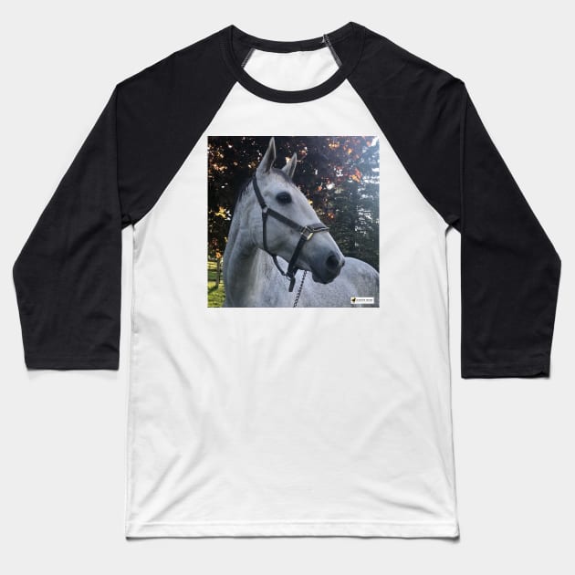 Platinum Baseball T-Shirt by SunshineHorses